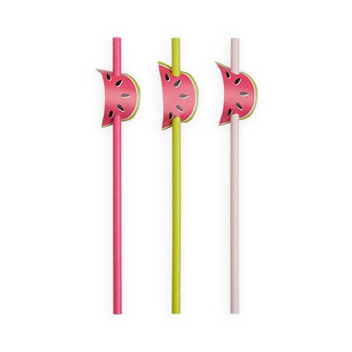 Assorted Watermelon Straws (12 pk)