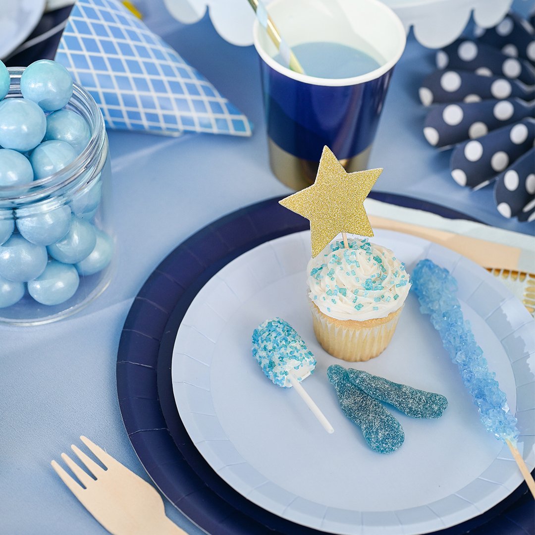 Navy Large Plates (10 pk)