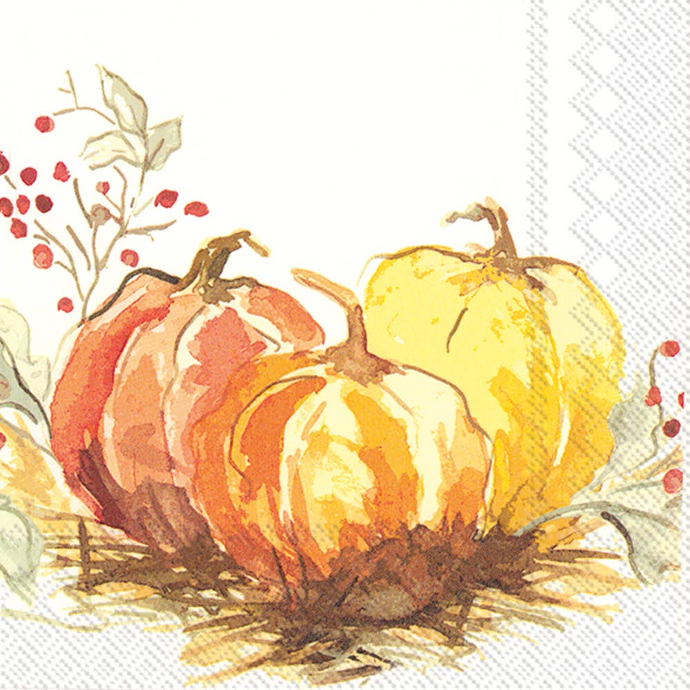 Painted Pumpkin Beverage Napkins (20 Count)