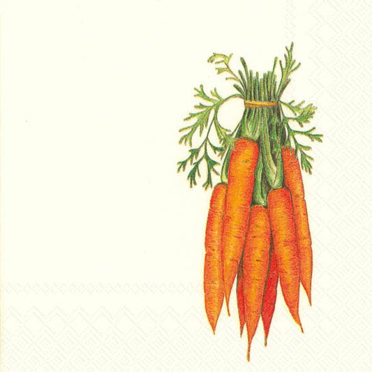 Carrot Paper Beverage Napkins (20 pk)